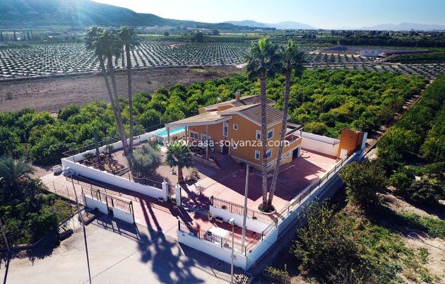 Wiederverkauf - Country Property/Finca - Orihuela