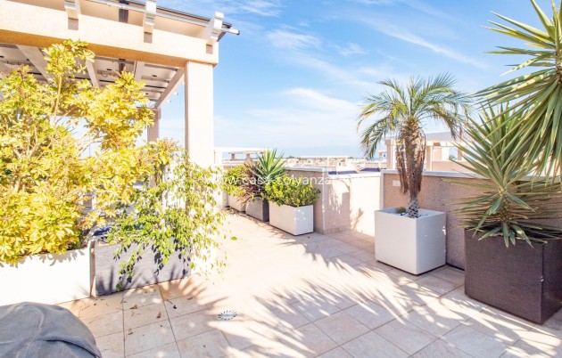 Revente - Bungalow - Torrevieja - Punta Prima