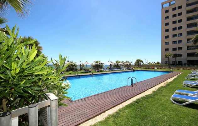 Revente - Appartement - Orihuela Costa - Punta Prima