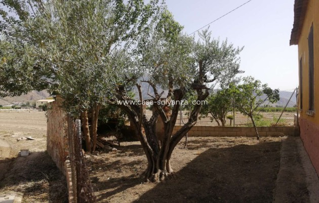 Wiederverkauf - Villa - Orihuela