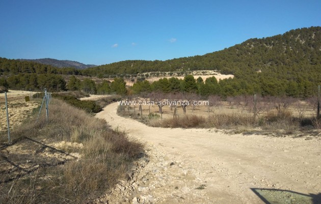 Wiederverkauf - Country Property/Finca - Bullas
