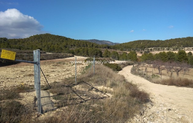 Wiederverkauf - Country Property/Finca - Bullas