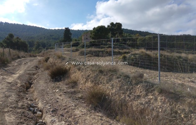 Wiederverkauf - Country Property/Finca - Bullas