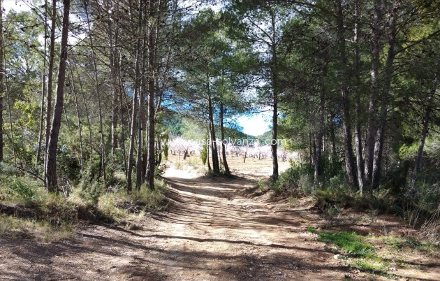 Wiederverkauf - Country Property/Finca - Bullas