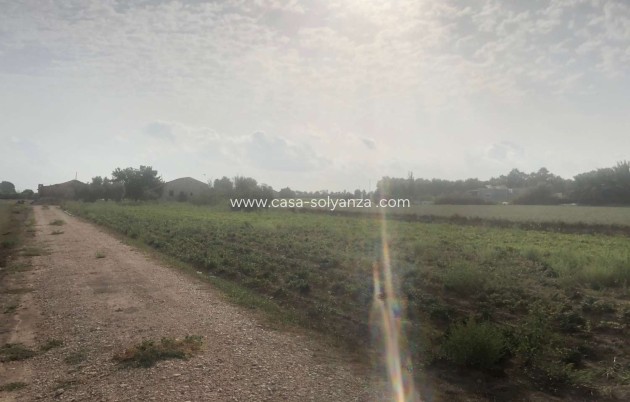 Wiederverkauf - Country Property/Finca - Callosa de Segura - Callosa De Segura