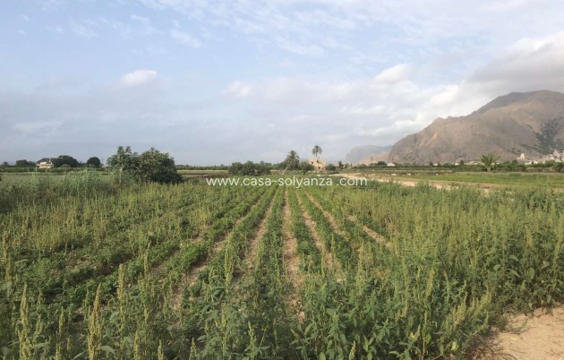 Wiederverkauf - Country Property/Finca - Callosa de Segura - Callosa De Segura