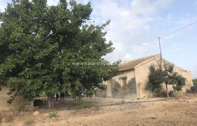Wiederverkauf - Country Property/Finca - Callosa de Segura - Callosa De Segura