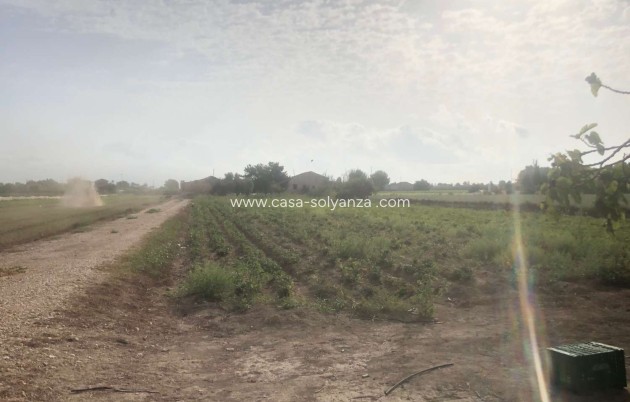 Wiederverkauf - Country Property/Finca - Callosa de Segura - Callosa De Segura