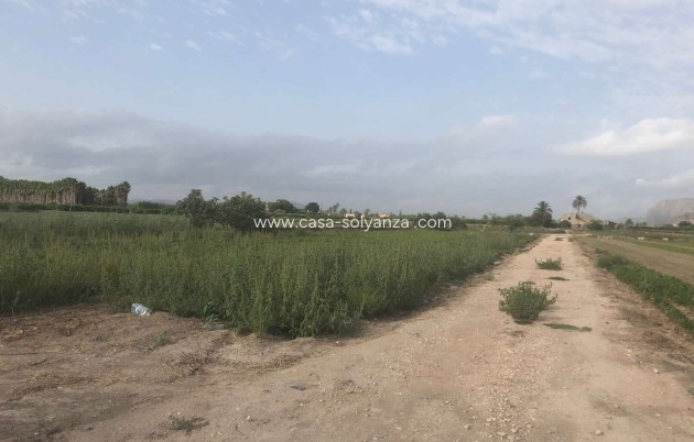 Wiederverkauf - Country Property/Finca - Callosa de Segura - Callosa De Segura