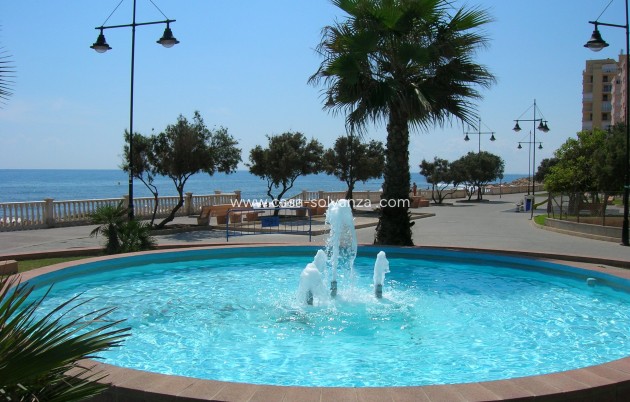 Wiederverkauf - Commercial Property - Torrevieja