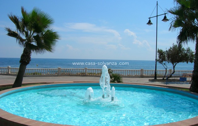 Wiederverkauf - Commercial Property - Torrevieja