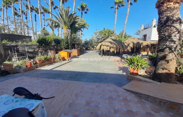 Reventa - Investment project - Orihuela