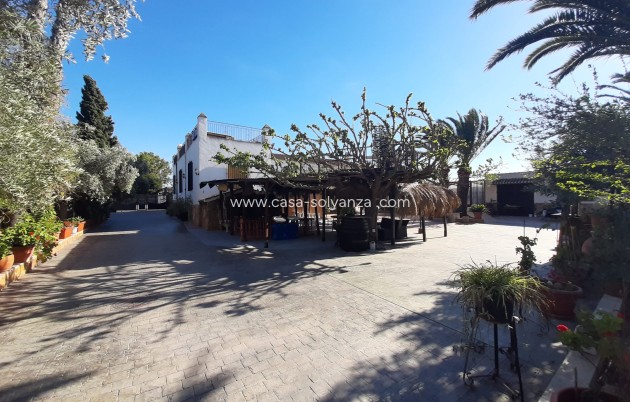 Reventa - Investment project - Orihuela