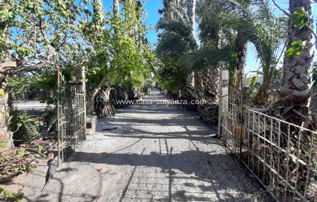 Reventa - Investment project - Orihuela