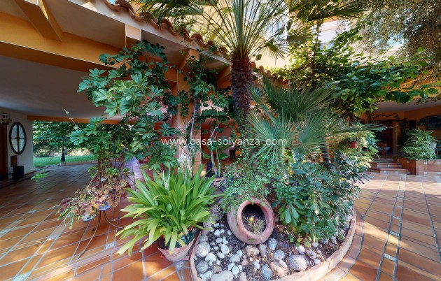 Wiederverkauf - Villa - Orihuela Costa