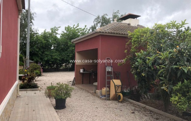 Wiederverkauf - Country Property/Finca - Callosa de Segura - Callosa De Segura