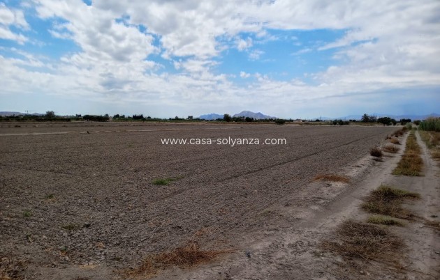 Resale - Land - San Fulgencio