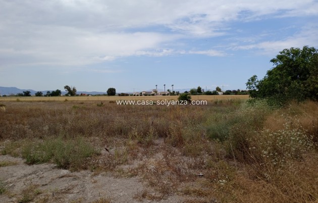 Resale - Land - San Fulgencio