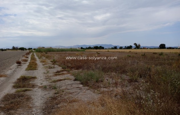 Resale - Land - San Fulgencio