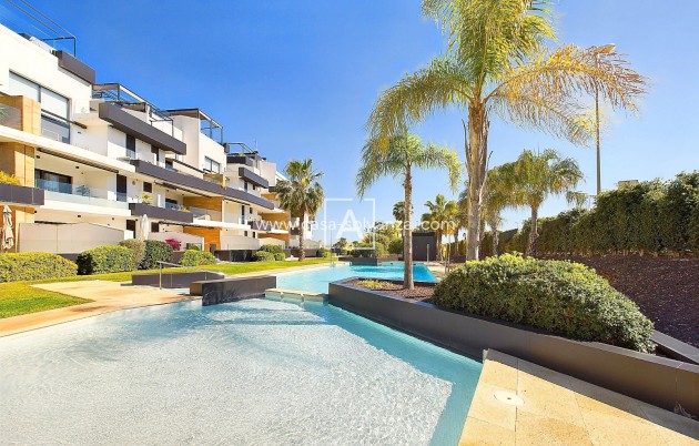 Wiederverkauf - Wohnung - Los Dolses