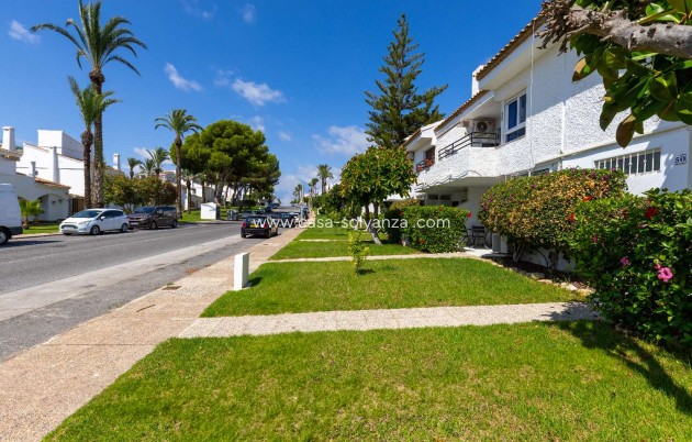 Revente - Bungalow - Orihuela - Orihuela Costa