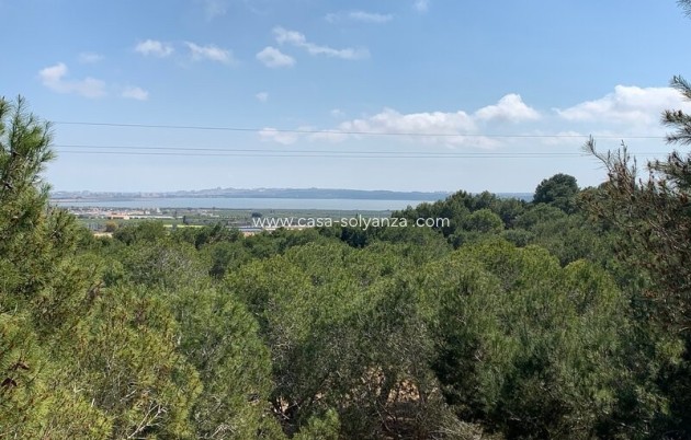 Revente - Independent villa - Rojales - Ciudad Quesada