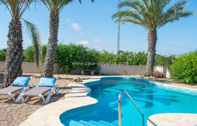 Revente - Independent villa - Guardamar del Segura - El Raso