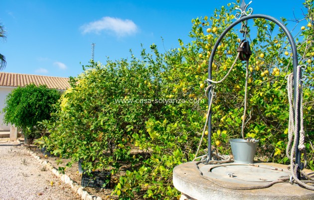 Revente - Independent villa - Guardamar del Segura - El Raso