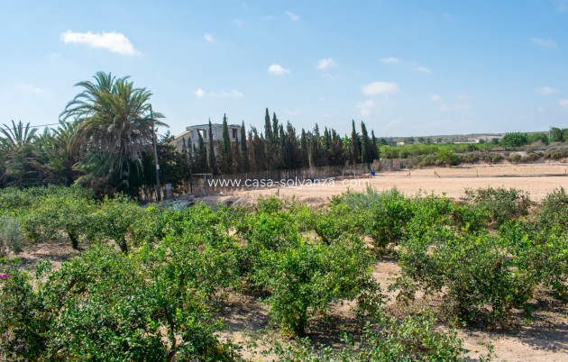 Revente - Independent villa - Guardamar del Segura - El Raso