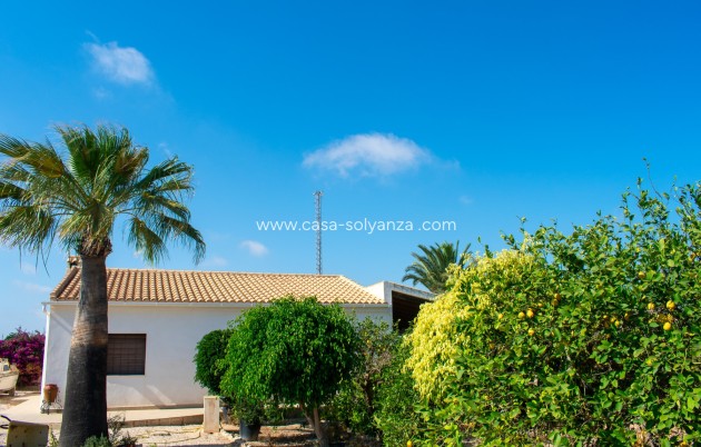 Revente - Independent villa - Guardamar del Segura - El Raso