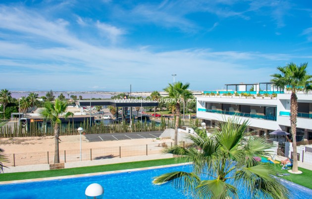 Revente - Adosado - Torrevieja - Los Balcones