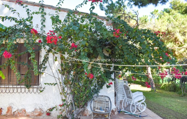 Revente - Independent villa - Orihuela Costa - Punta Prima