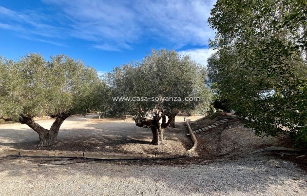 Herverkoop - Country Property/Finca - El Esparragal