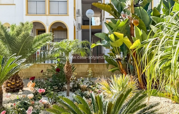 Revente - Appartement - Torrevieja - Torrelamata - La Mata