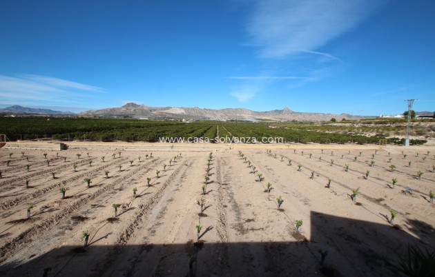 Wiederverkauf - Country Property/Finca - Murcia - Costa Blanca Sur