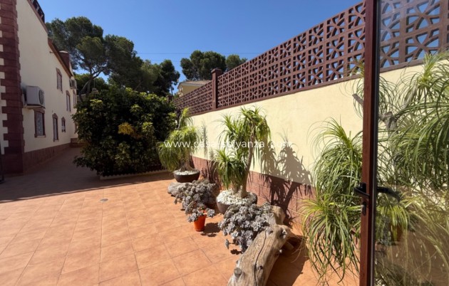 Revente - detached_house - Torrevieja - Costa Blanca Sur