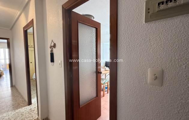 Revente - Appartement - Torrevieja - Costa Blanca Sur