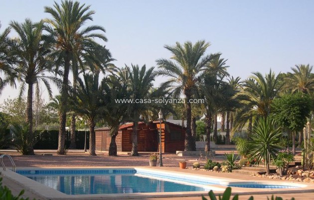 Wiederverkauf - Villa - Elche