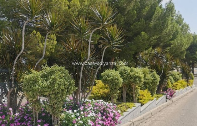 Herverkoop - Appartement / flat - Orihuela Costa