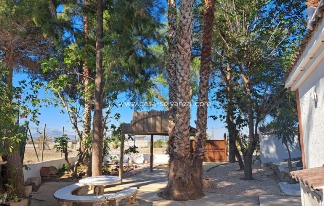 Herverkoop - Country Property/Finca - Orihuela