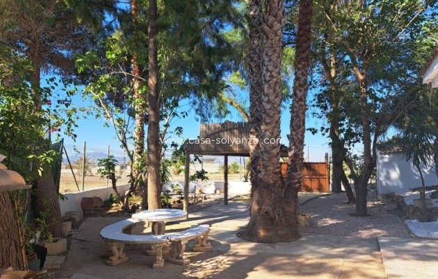 Herverkoop - Country Property/Finca - Orihuela