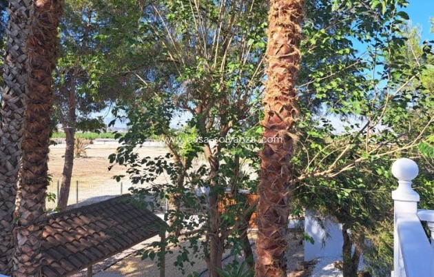 Herverkoop - Country Property/Finca - Orihuela