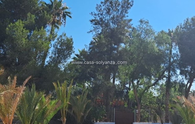 Herverkoop - Country Property/Finca - Orihuela