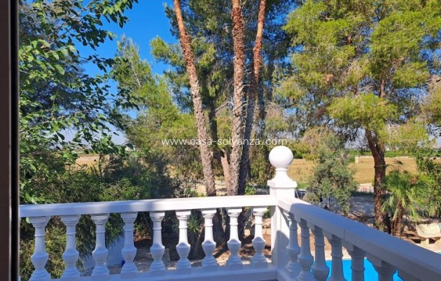 Herverkoop - Country Property/Finca - Orihuela