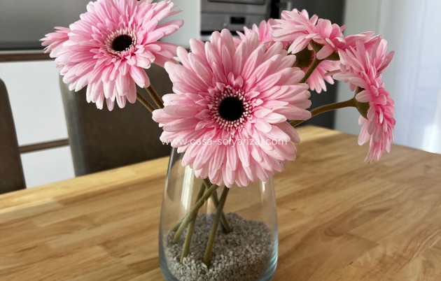 Revente - Villa - Los Montesinos - 0