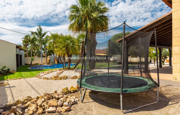 Revente - Villa - Catral - 0