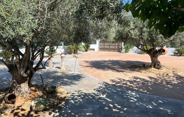 Revente - Villa - Almoradí - 0