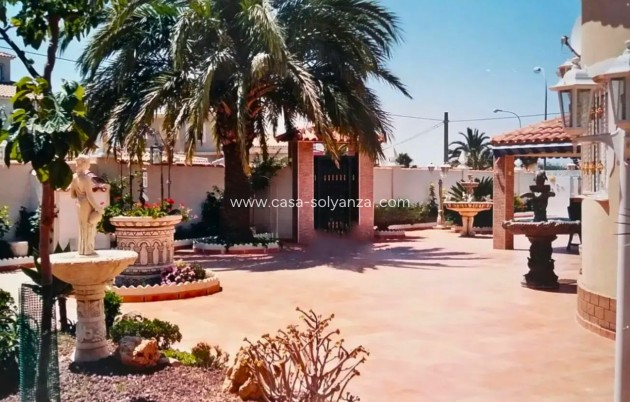 Revente - Villa - Torrevieja - 0