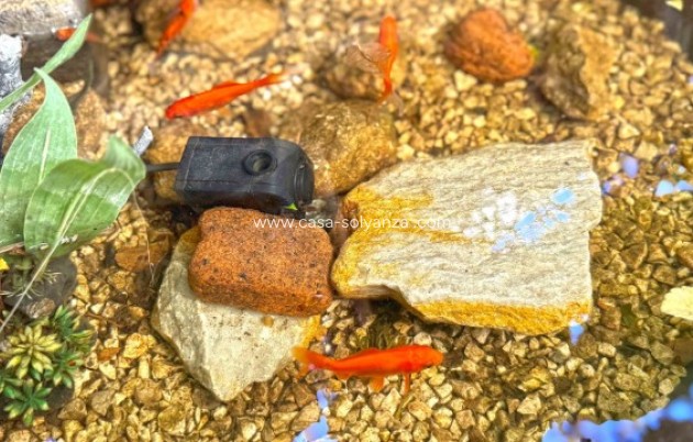 Revente - Villa - Orihuela Costa - 0