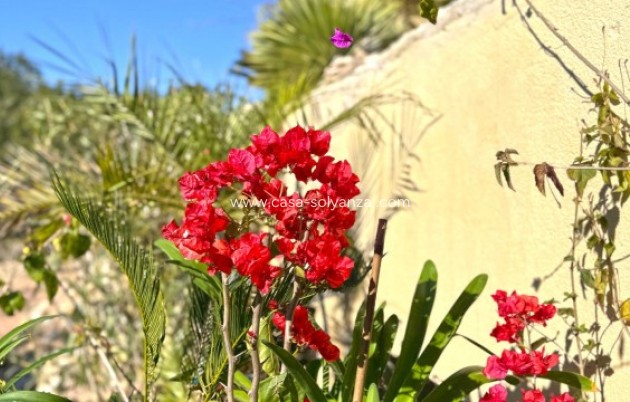 Revente - Villa - Orihuela Costa - 0